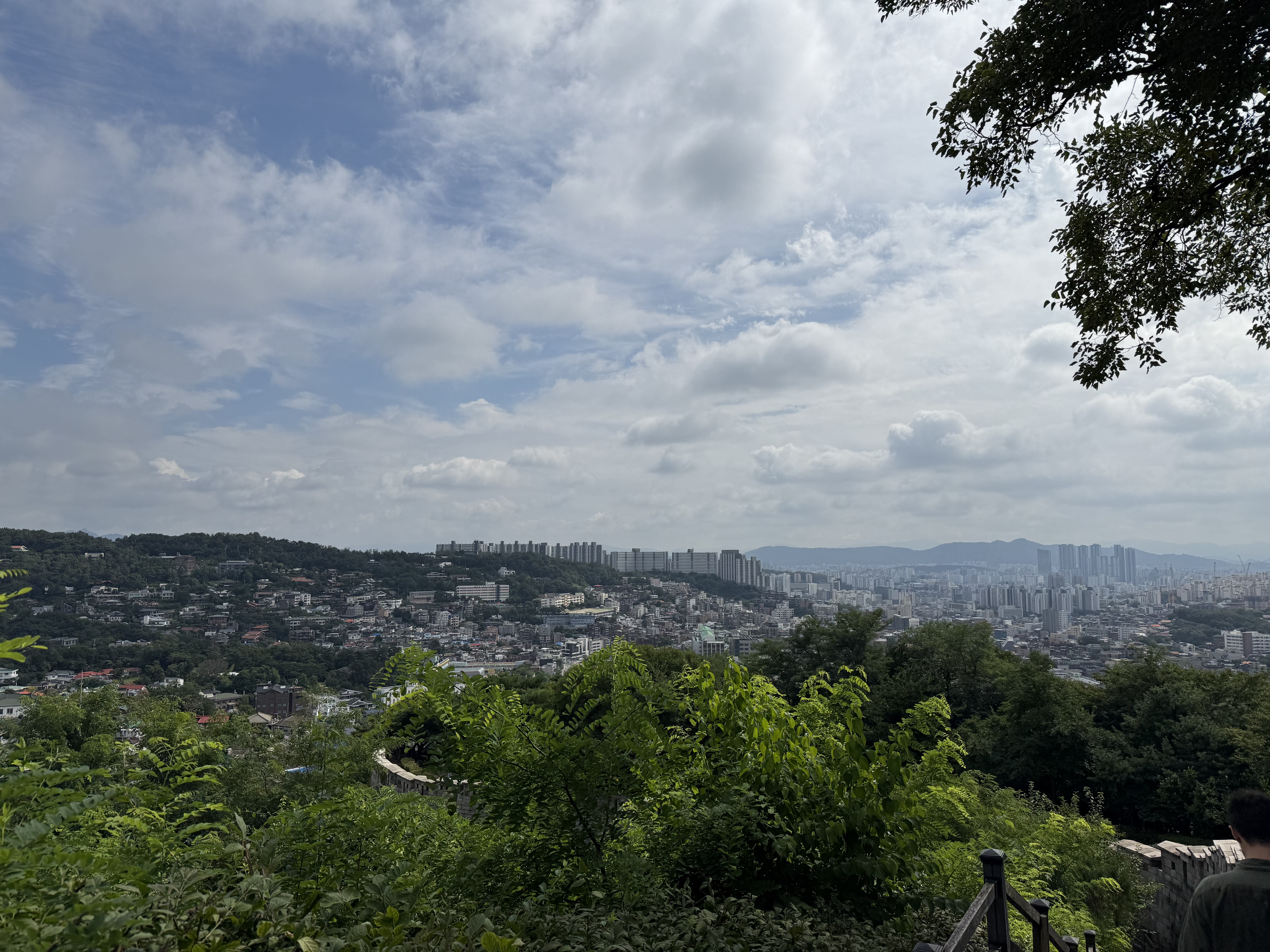 IMG_5470.jpeg