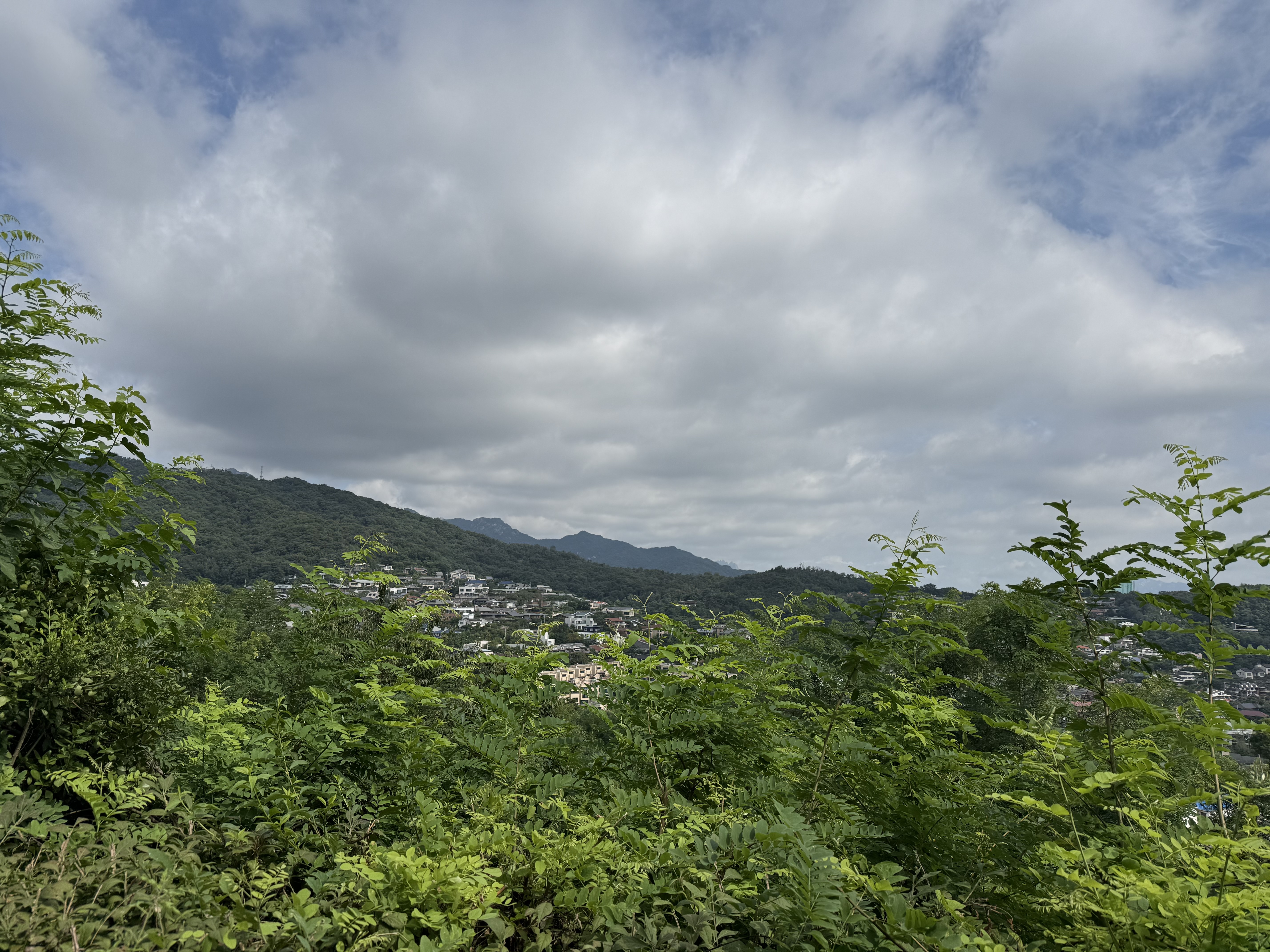 IMG_5472.jpeg