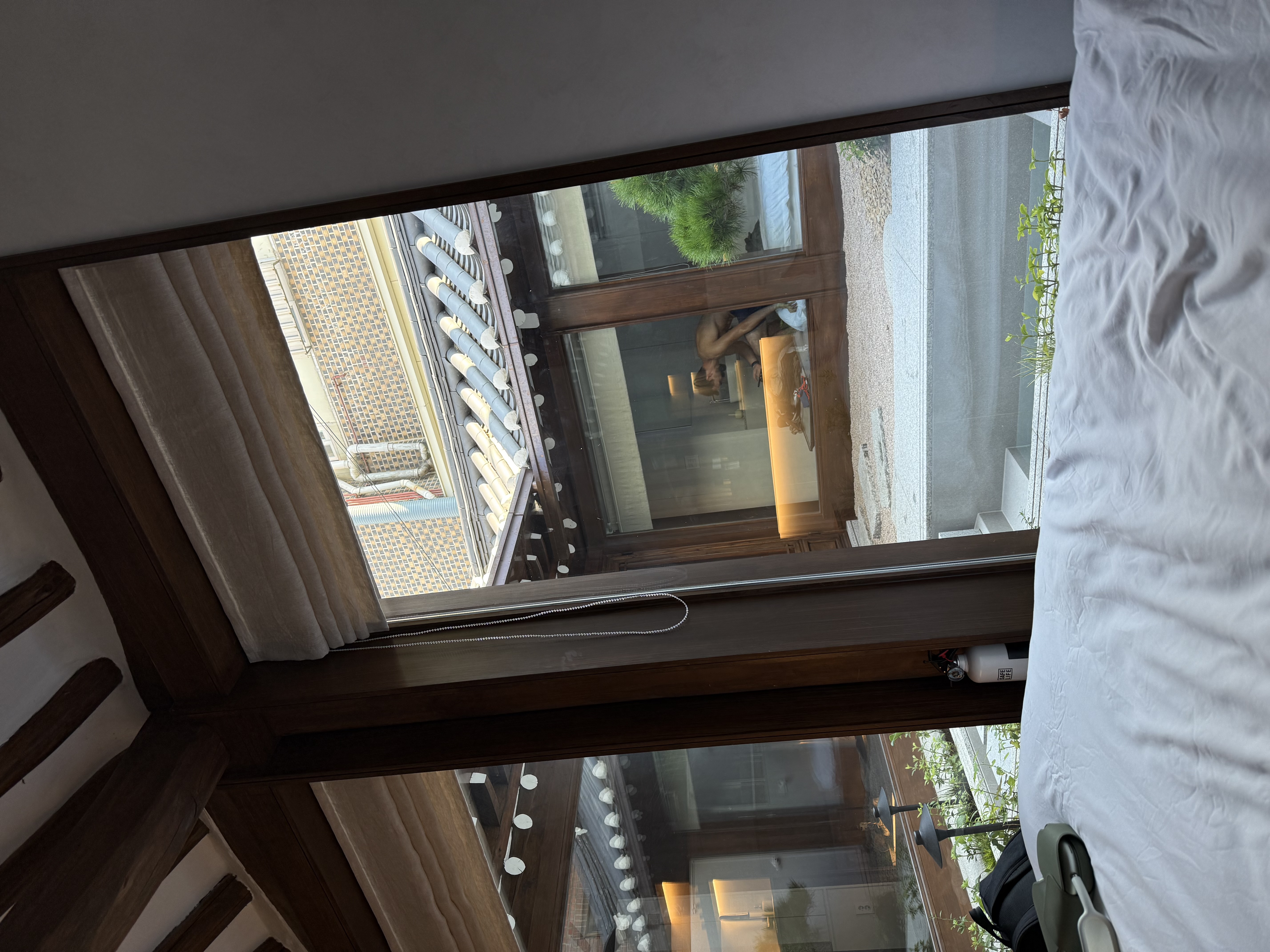 IMG_5478.jpeg